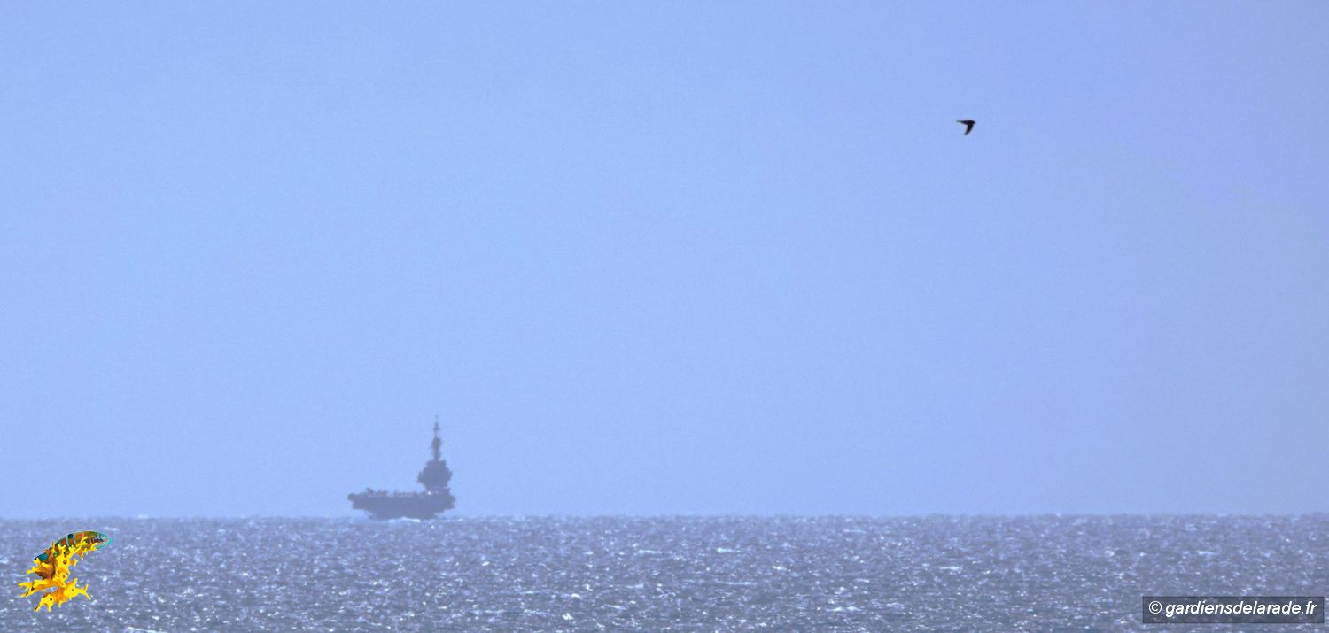 z01 Martinet Charly 02400317